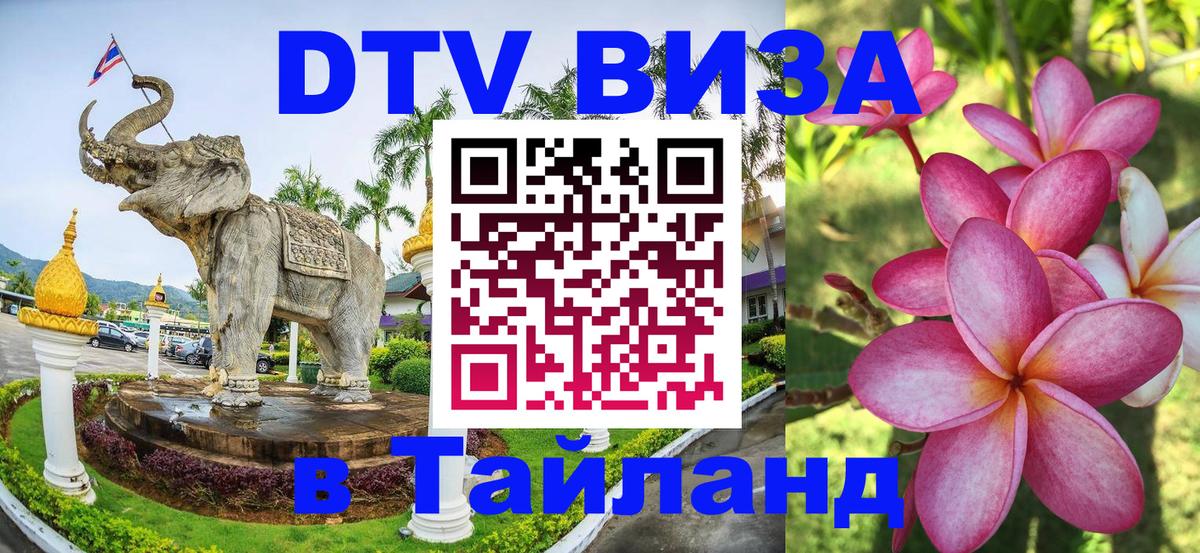 Сколько стоит DTV виза — актуальные цены, оформление даже без документов - 05.10.2025 